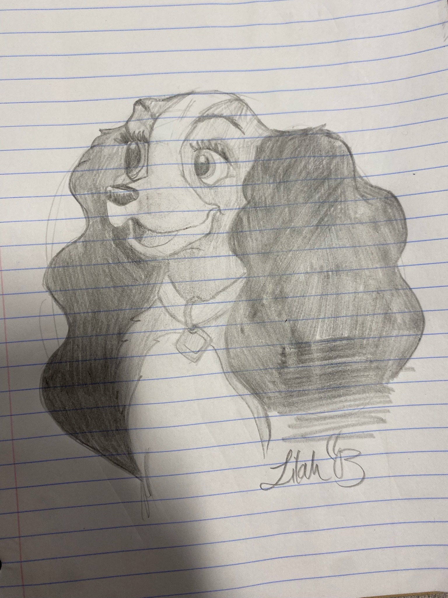Lady