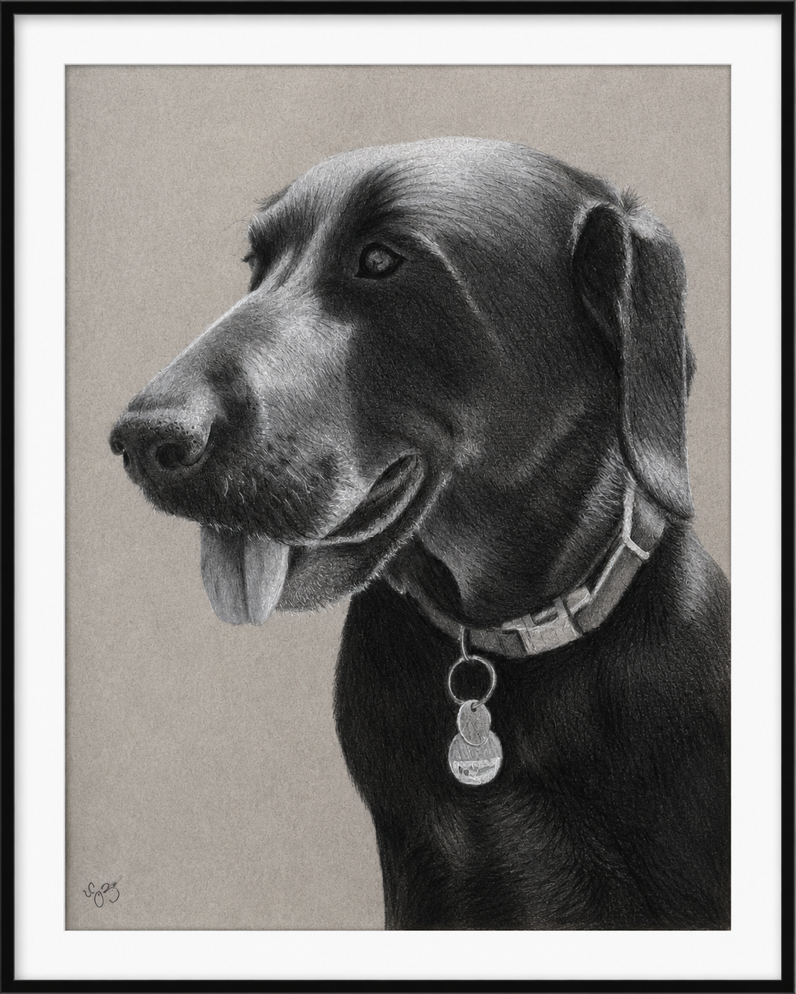 Black lab portrait by Lilah - charcoal on toned paper