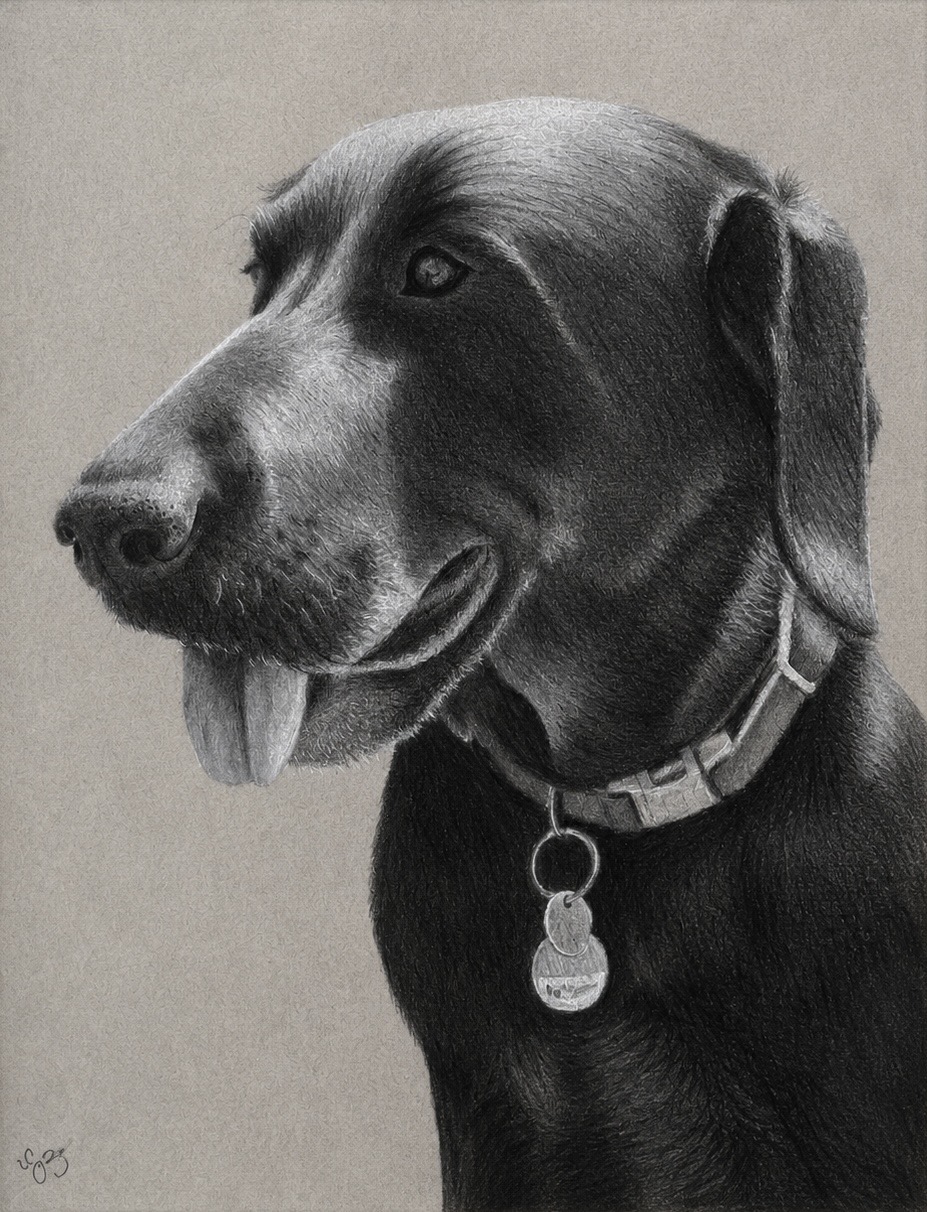 Black Lab